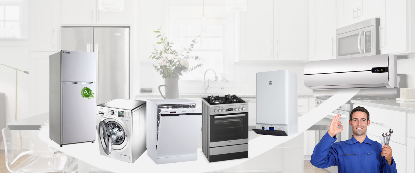Hemşin Grundig Servisi
